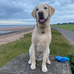 Zoe added a photo of their purchase