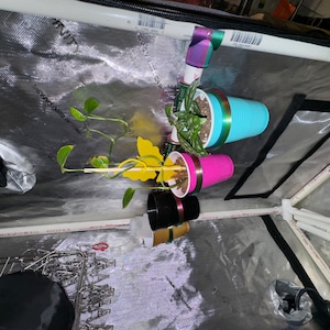 Kelsey added a photo of their purchase