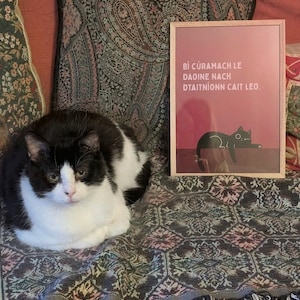 Amy added a photo of their purchase