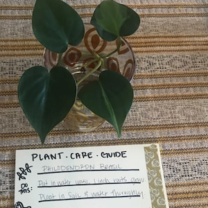 Chelsea Simmons added a photo of their purchase