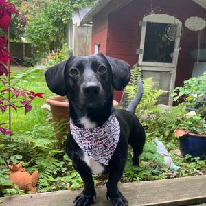 Sabine added a photo of their purchase
