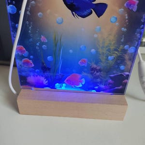 Aquarium Light for Discus Fish Fry: Ultimate Guide for Healthy Growth