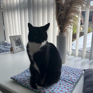 Hazel heeft een foto van de aankoop toegevoegd