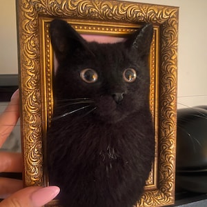 Lara added a photo of their purchase