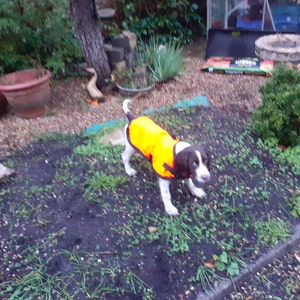 LESLEY added a photo of their purchase