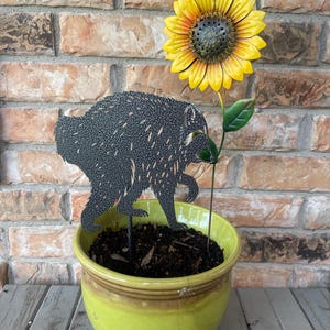 Janet added a photo of their purchase