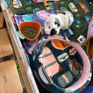 Deborah added a photo of their purchase