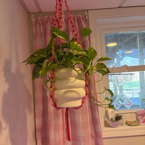 Katie added a photo of their purchase