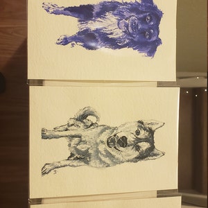 Anya hat ein Foto des gekauften Artikels hinzugefügt