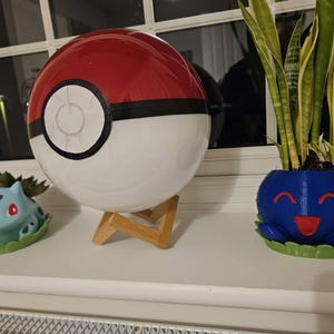 Alice added a photo of their purchase
