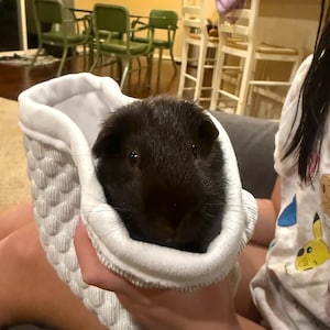 Francine added a photo of their purchase