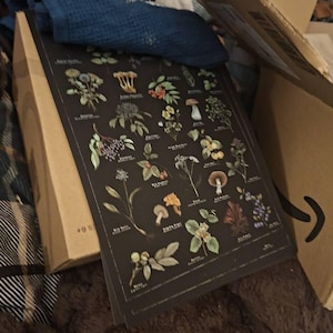 Theo ha añadido una foto de su compra