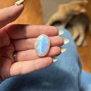 Katelyn added a photo of their purchase