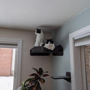 Emily added a photo of their purchase