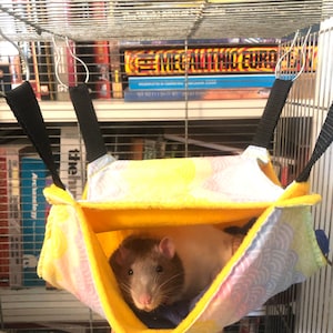 F added a photo of their purchase