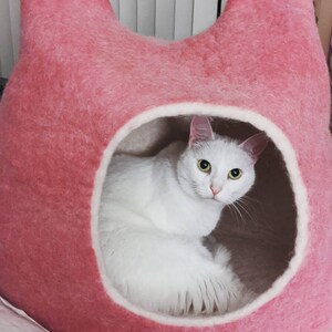 agnes cat mat