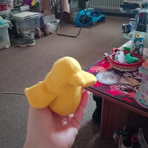 Ney dodał(a) zdjęcie swoich zakupów