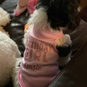 Dog Shirt Birthday Girl House Of FurBaby