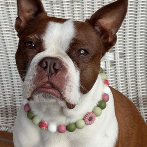 Suzette added a photo of their purchase