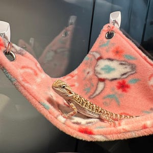 Destiny hat ein Foto des gekauften Artikels hinzugefügt