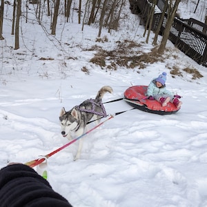 beth さんが購入した商品の写真を追加しました