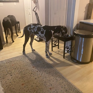 Violet added a photo of their purchase