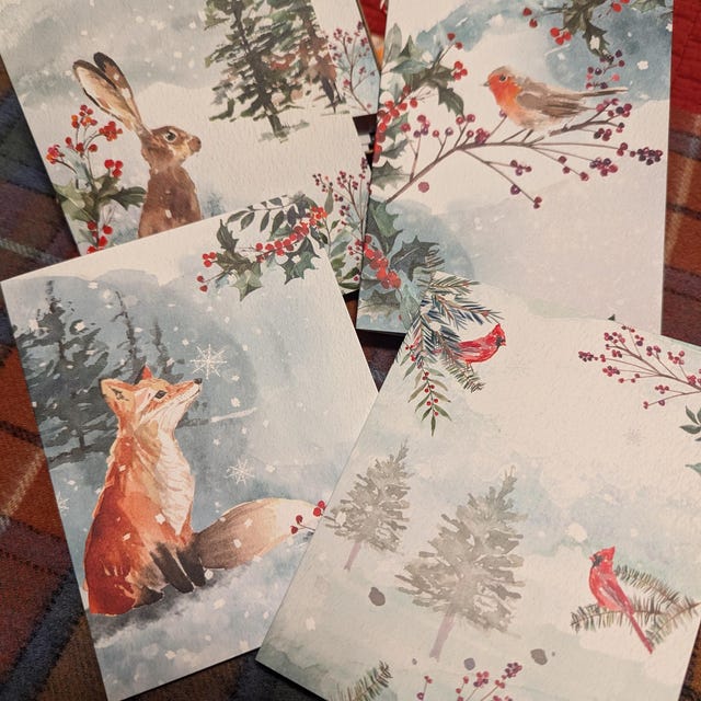 Cartes De Noël Avec Enveloppes - Lot De 24 Cartes A6 Pliées - 12 Modèles - Pour Famille, Amis, Vœux