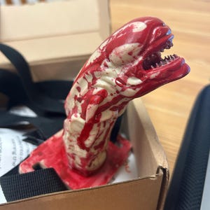 Sam added a photo of their purchase