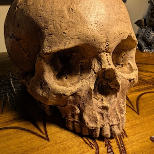 Loganth added a photo of their purchase