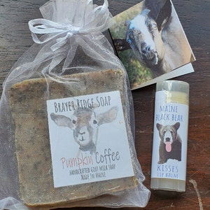 Shirley adicionaram uma foto da sua compra