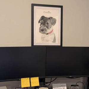 Custom Watercolor Portraits,Using Pet Photo,Personalized Digital Dog Portraits,Cat Portraits,Custom Dog Portraits,Custom Pet Memorial Art