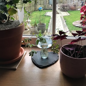 Donna added a photo of their purchase