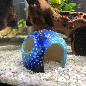 Karrie added a photo of their purchase
