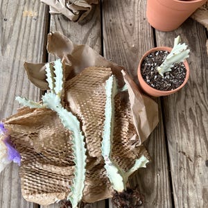 April added a photo of their purchase