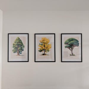 Marco lade till en bild av sitt köp