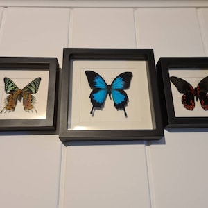 Ramona ha añadido una foto de su compra