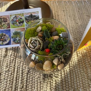 Alisa added a photo of their purchase