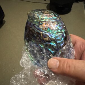 研磨されたアワビの貝殻、海岸ビーチ装飾（4.3～5.1インチ）、E012