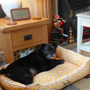 Tally added a photo of their purchase