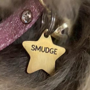 molly added a photo of their purchase