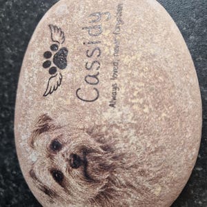 Diane added a photo of their purchase