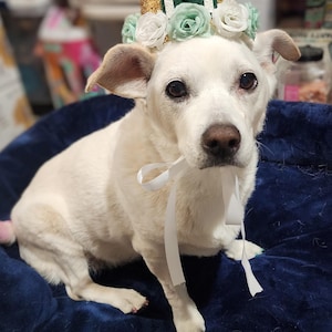 Jenna adicionaram uma foto da sua compra