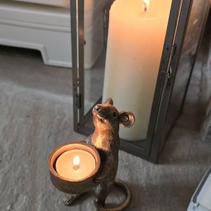 SaraS added a photo of their purchase
