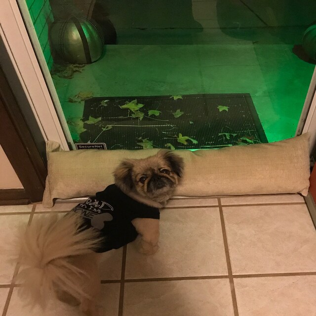 Extra Long Draft Stopper 28 to 72 UPHOLSTERY Etsy