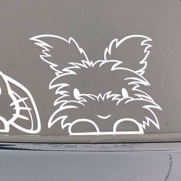 Peeking Cute Angora Rabbit Sticker; Bunny Car Decal / Tablet Vinyl ...