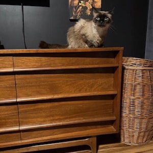 hathaway ha aggiunto una foto del proprio acquisto