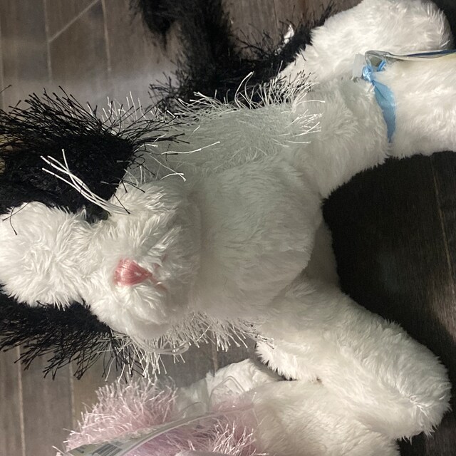 family cats　0101 ♡ Webkinz Black & White Cat HM 016// Brand New With Sealed