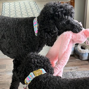 Judi added a photo of their purchase