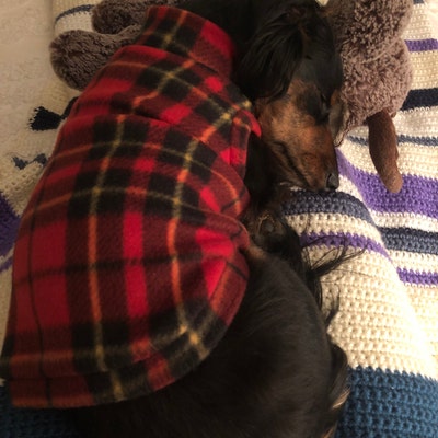 Miles Red Plaid Mini Dachshund Fleece Sweater measurements in - Etsy