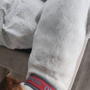 belle added a photo of their purchase